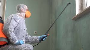 Best Industrial Mold Remediation  in Pacheco, CA