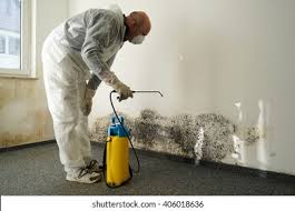 Best Mold Damage Restoration  in Pacheco, CA